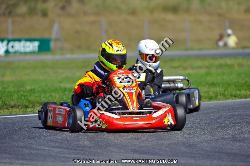 DSC_ (1360).jpg